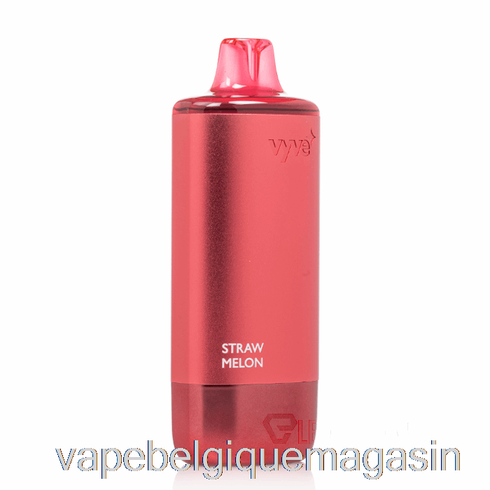 Vape Juice Vyve 10000 Pastèque Jetable